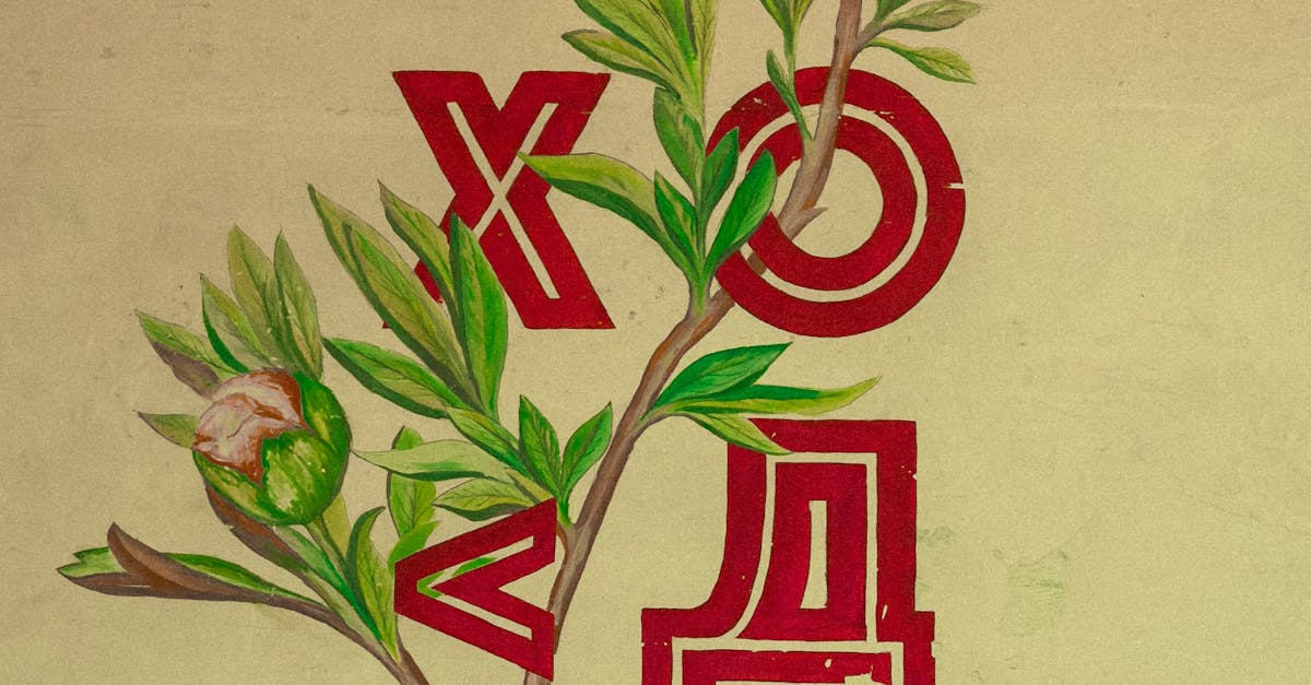 Hyderabad Entrepreneur Dating Challenges