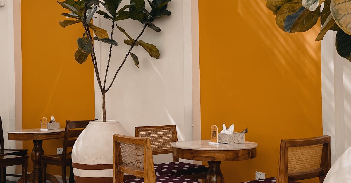 Hyderabad professional woman cafe