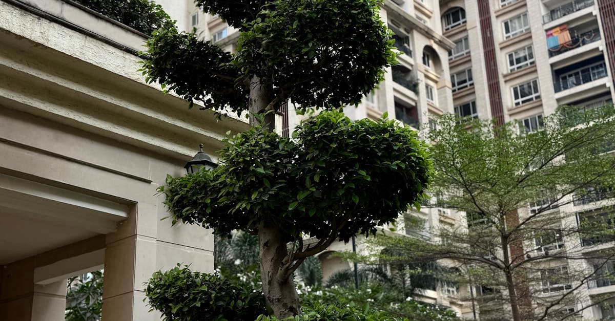 quiet luxury lifestyle Hyderabad