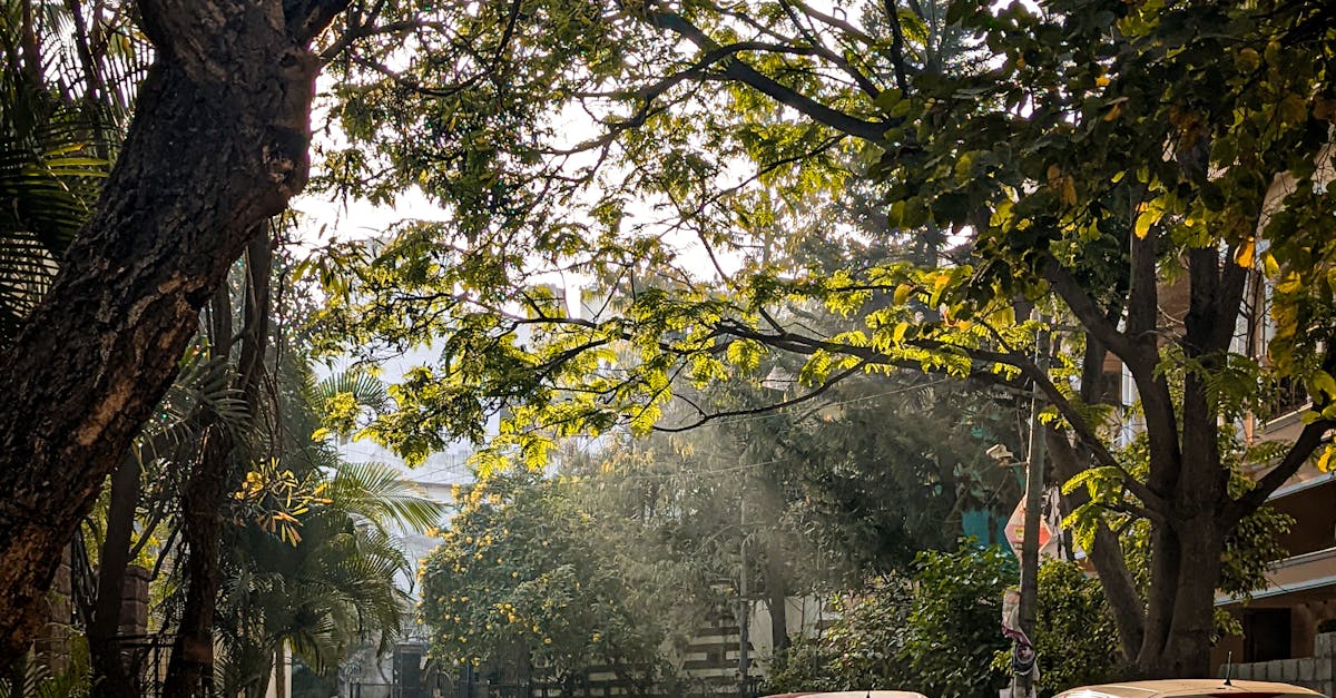 hyderabad entrepreneur morning reflection