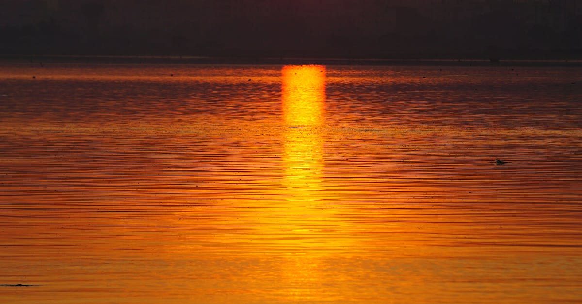 hyderabad entrepreneur morning reflection